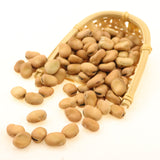 Faba bean