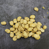 Faba bean