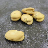 Faba bean