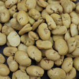 Faba bean