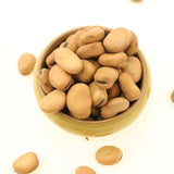 Faba bean