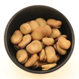 Faba bean