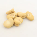 Faba bean